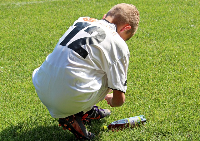 西国家队登 西国家队登