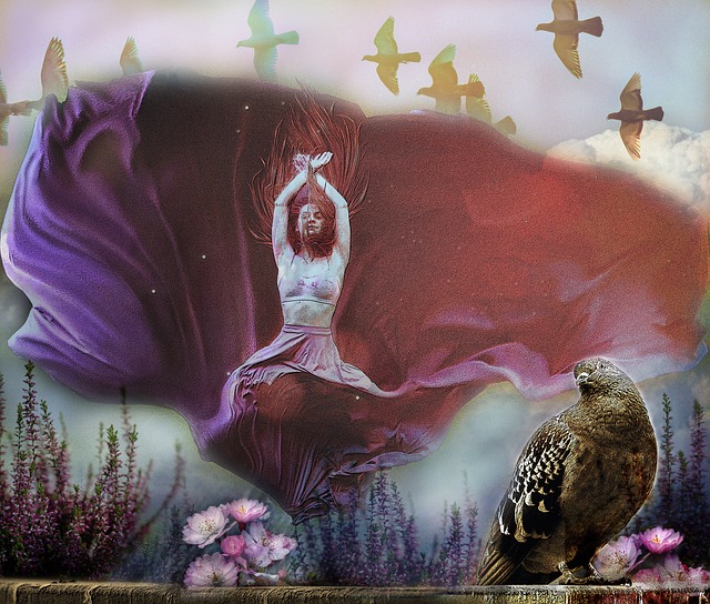 也让我们看 也让我们看