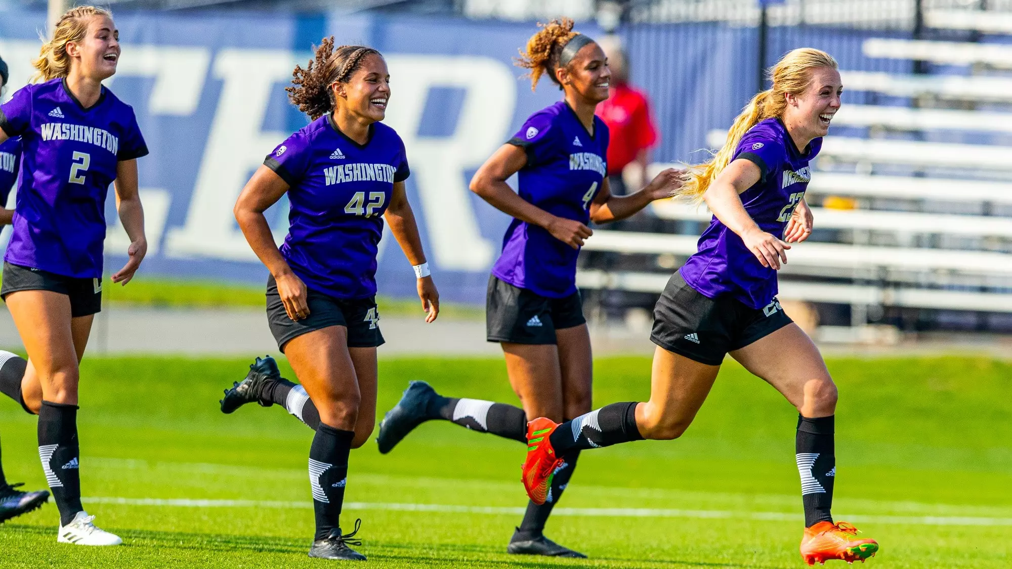 的应用在项 的应用在项