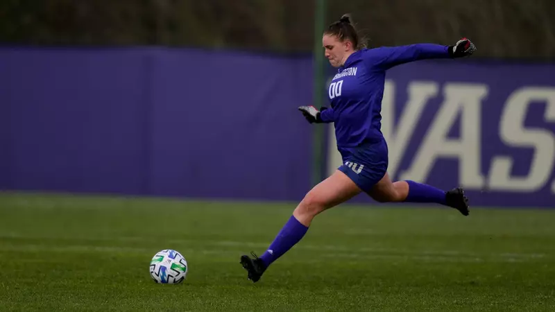 强势回归 强势回归